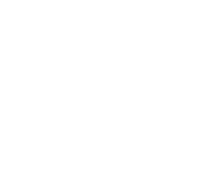 مشتری ۴